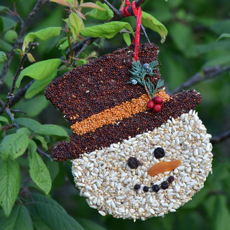 frosty christmas cookie bird treat