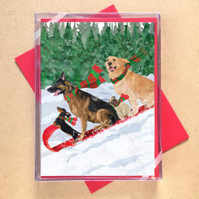 dogs toboggan boxed holiday cards
