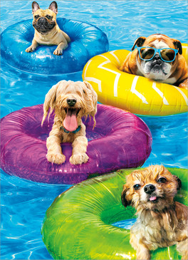 dog pool party birthday card