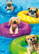 dog pool party birthday card