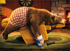 bear on recliner birthday