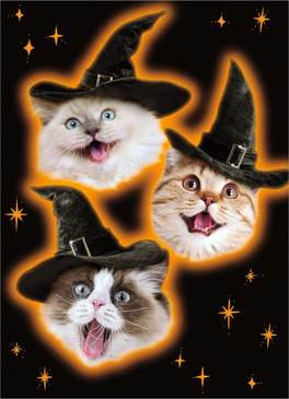 floating witch cats halloween card