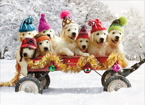 puppies in a wagon