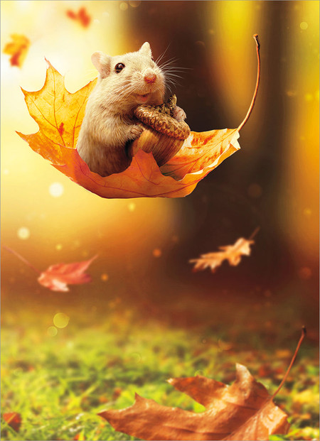 mouse on big leaf thanksgiving card