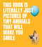 this book is literally just pictures of tiny animals that will make you smile