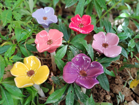 peek-a-boo flowers petite