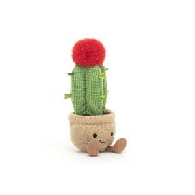 amusable moon cactus