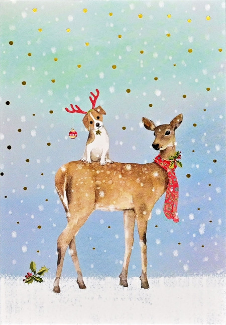 winter friends boxed holiday cards