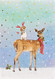 winter friends boxed holiday cards