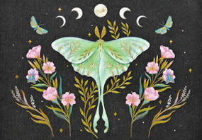 luna moth note cards