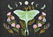 luna moth note cards