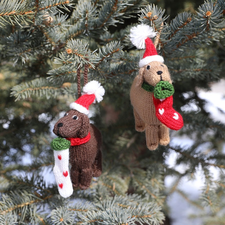 dog with stocking ornament 