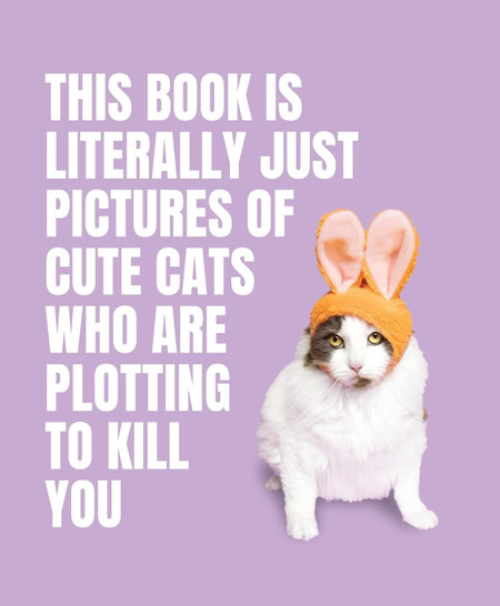 this book is literally just pictures of cute cats who are plotting to kill you