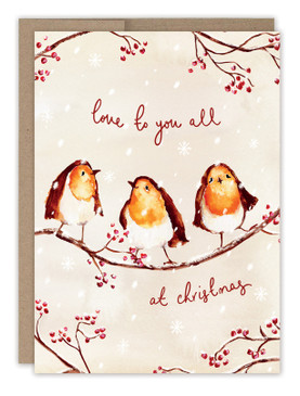 robins love boxed holiday cards