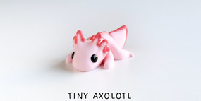 tiny baby 3D articulated fidget toy - axolotl