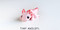 tiny baby 3D articulated fidget toy - axolotl