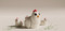 tiny baby 3D articulated fidget toy - chicken