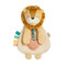 lovey plush with silicone teether toy