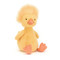 dorit duckling