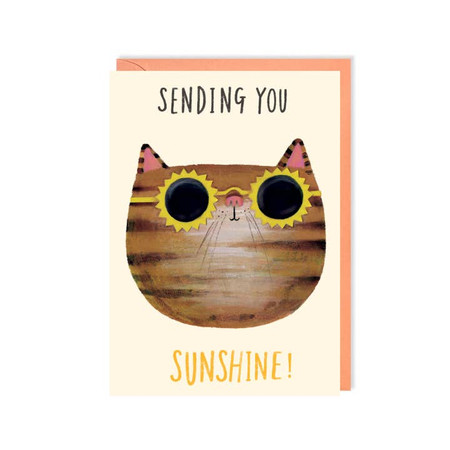 sending you sunshine  friendship card