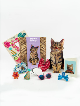 brown tabby cat pop-up greeting cards
