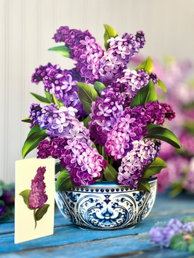 garden lilacs pop-up greeting cards