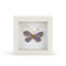 butterfly wall art 4"