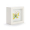 butterfly wall art 4"