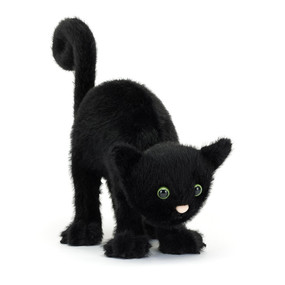spookipaws cat