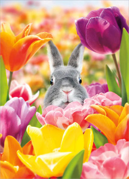 bunny flower field | easter