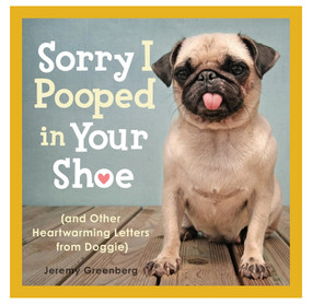 sorry i pooped in your shoe funny letters from dogs book