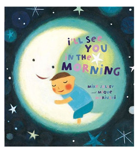 ill see you in the morning bedtime story stories board book