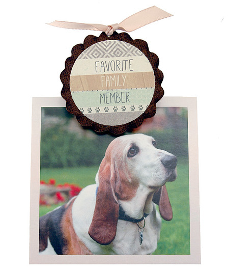favorite family member dog cat pet photo clip fridge magnet whimsical quote saying sentiment magnetic inspirational
