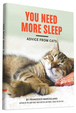 cats,funny,humor,gift,books