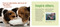 dogs, gift for dog lovers, book