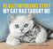 cats, pets, pet lover, cat lover, funny, books