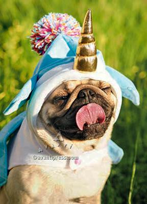 Pug In Unicorn Costume Birthday Card Birthday Pug Unicorn Gift For Dog Lover Avanti Catching Fireflies
