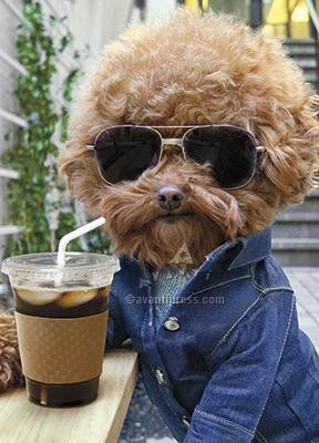 Coffee. Shades. Chill. Have a Cool Birthday 