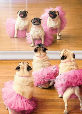  Go ahead and twirl, 'cause you are tutu fabulous! Happy Birthday 
