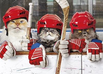 hockey cats birthday card