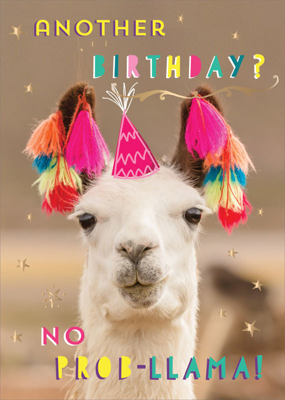 No Prob Llama Birthday Birthday For Llama Lover Gift For