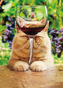 cat with glass of red wine birthday card