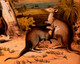 Here we have the two native emblems of Australia, the emu and the kangaroo. The British artist in London, has made a common mistake of painting the muscular marsupial tail akin to a dog's tail.