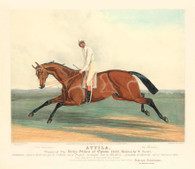 “Atilla , Breed by Colonel Hancox, Winner of the Derby, 1842..."
Archival Limited Giclee of original hand coloured Aquatint engraving lithograph by  John Harris III (1811-1865) who was working at Akermann's Repository at the time. 