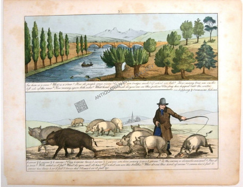 Mathematical Lessons of River life, Domestic Animal and Natural history.