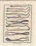 "Chirgurie" Antique print depicting Surgical Instruments by Bernard, Published Paris c.1740