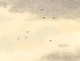 The flock of Seven birds in the against the expanse of  the landscapes sky to enhance the romantic expanse of the scene.