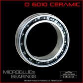 D6010 Ceramic Ball Bearing