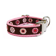 QuidoPetz Adjustable Small Dog/Puppy Nylon Collar in Choc Pink Flowers