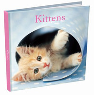 Rachael Hale Kittens Book